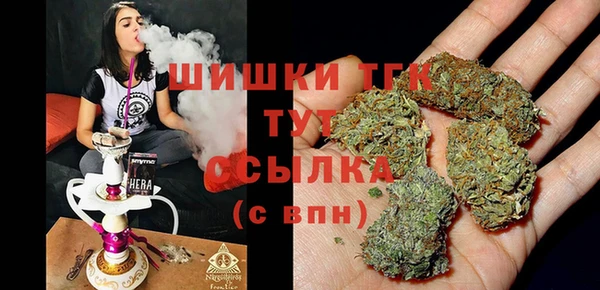 дживик Сатка