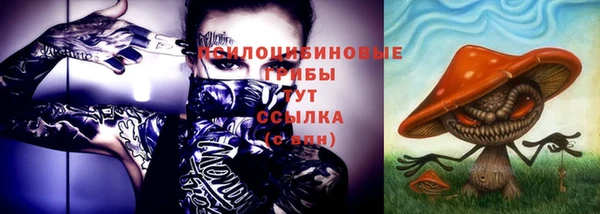 дживик Сатка